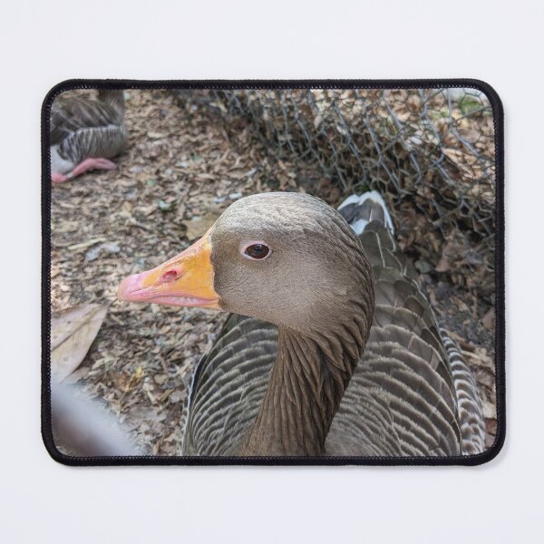 Item preview, The Grey Goose Sees All designed and sold by TheRealDanniX.