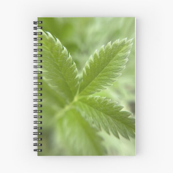 Item preview, The Silverweed's Razor Edge designed and sold by cnh920.