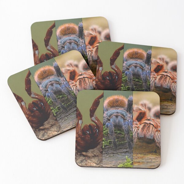 Item preview, Tarantulas Photo designed and sold by AstroLynx.