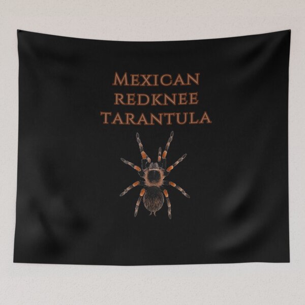 Item preview, Mexican Redknee Tarantula designed and sold by AstroLynx.