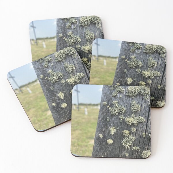 Item preview, Moss gathers to mourn those who've gone designed and sold by cnh920.