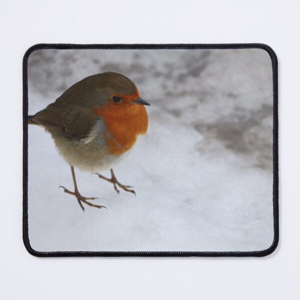 Item preview, Robin designed and sold by Amy Sandford.