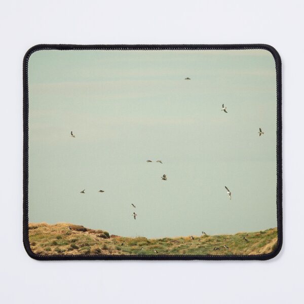 Item preview, Puffins designed and sold by Amy Sandford.