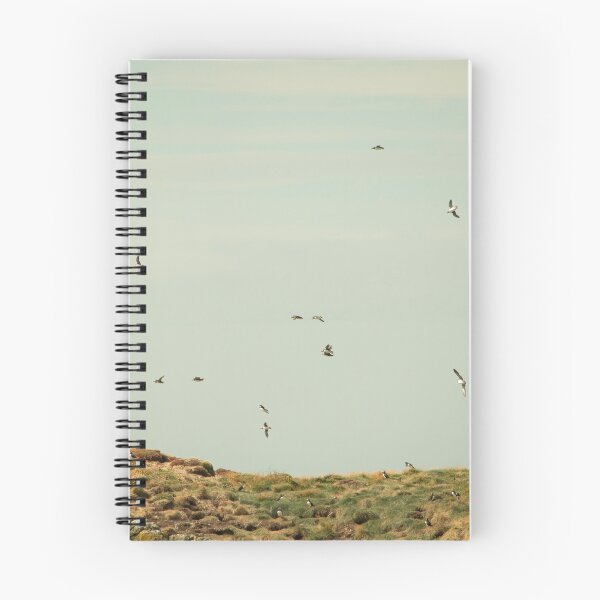 Item preview, Puffins designed and sold by Amy Sandford.
