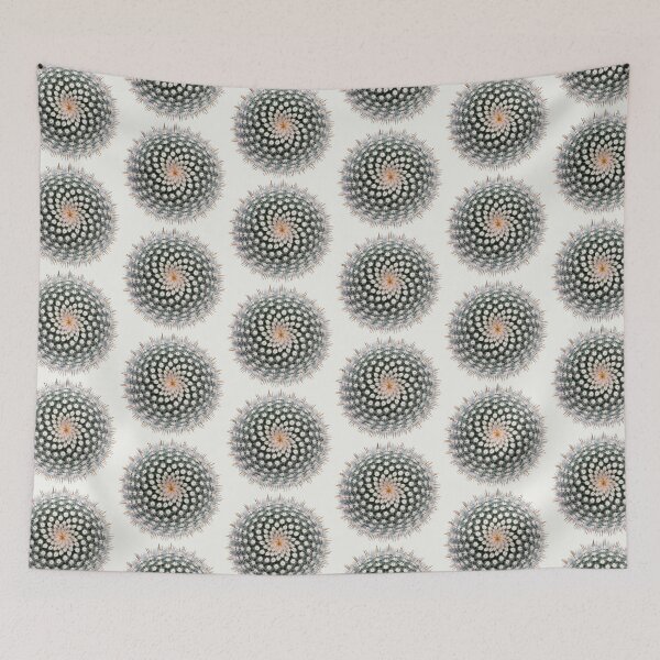 Item preview, Notocactus scopa designed and sold by Victor Mozqueda.