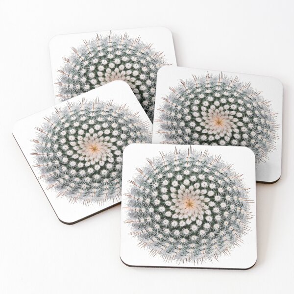 Item preview, Notocactus scopa designed and sold by Victor Mozqueda.