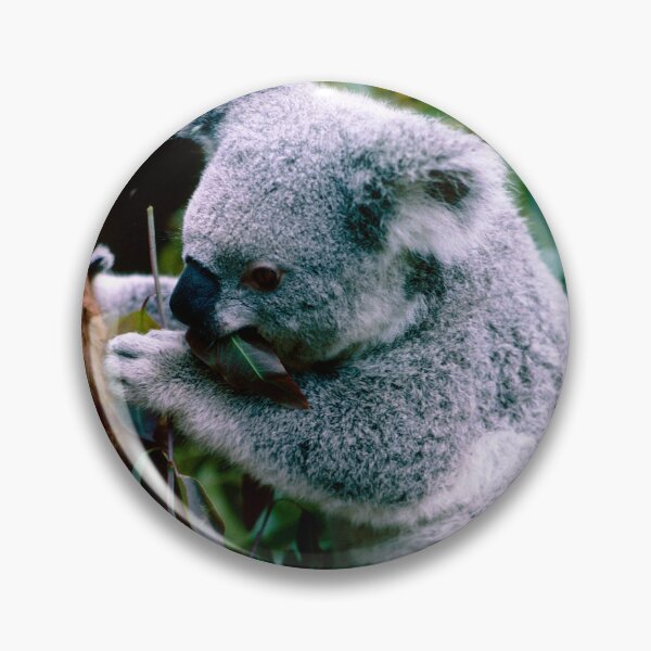 Item preview, Koala Bear Having Lunch designed and sold by Daveidaho.