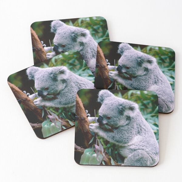 Item preview, Koala Bear Having Lunch designed and sold by Daveidaho.