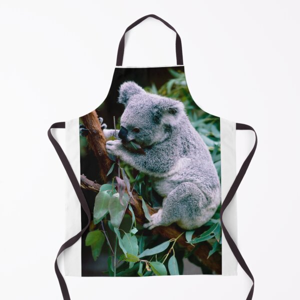Item preview, Koala Bear Having Lunch designed and sold by Daveidaho.