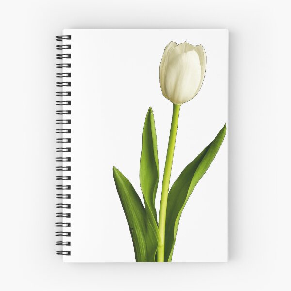 Item preview, white real tulip designed and sold by Laxium.
