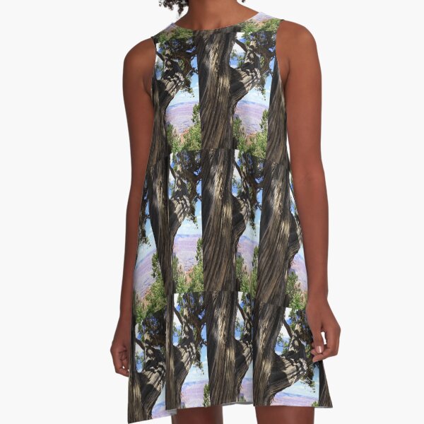 Reach - Grand Canyon A-Line Dress