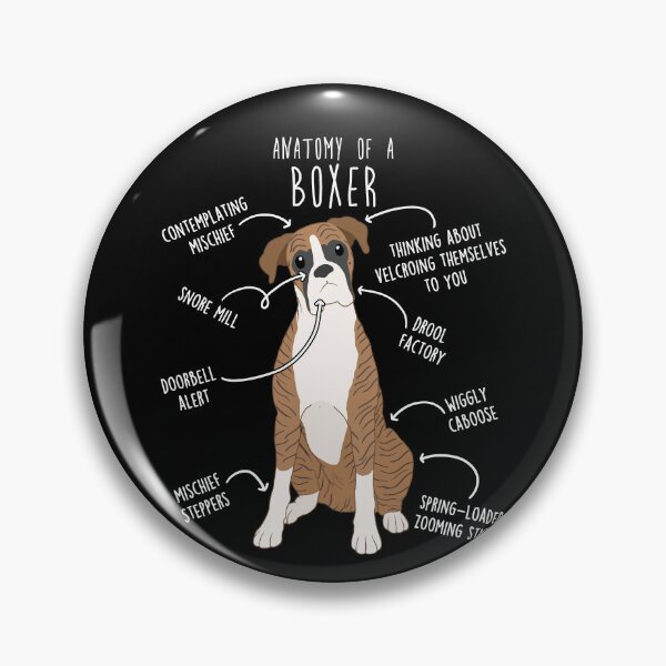 Item preview, Boxer Dog Brindle Anatomy designed and sold by Clara Hollins.