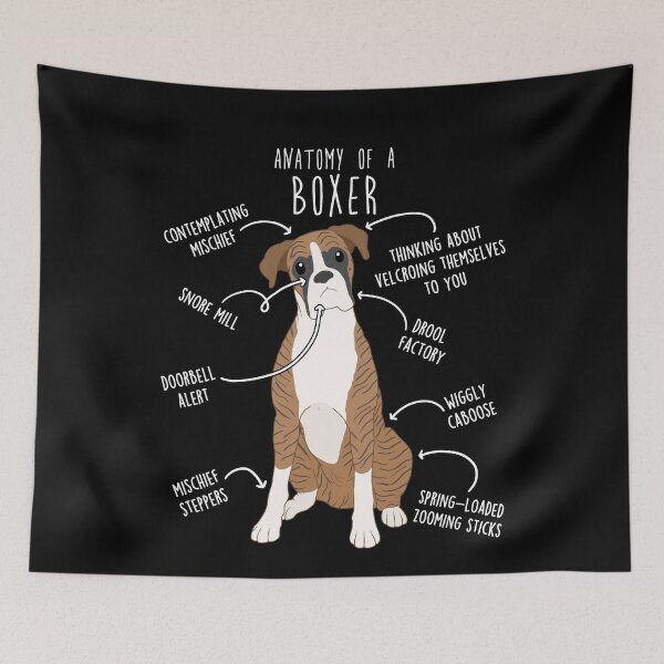 Item preview, Boxer Dog Brindle Anatomy designed and sold by Clara Hollins.