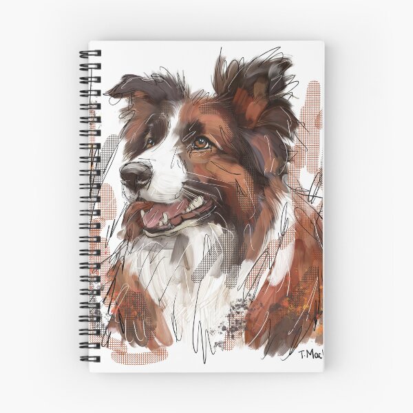 Artikelvorschau, Brauner und weißer Border Collie entworfen und verkauft von TraceyMackieArt.