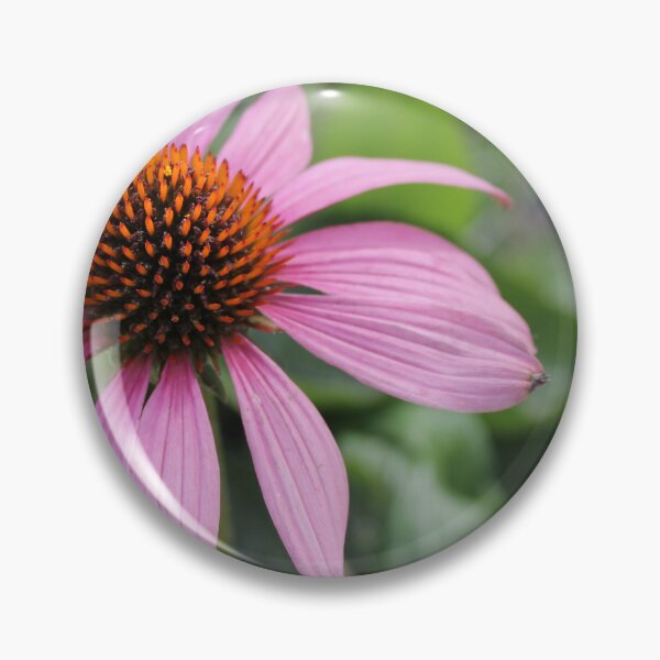 Item preview, Echinacea 2 designed and sold by katelynroseart1.