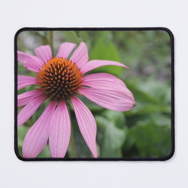 Item preview, Echinacea 2 designed and sold by katelynroseart1.