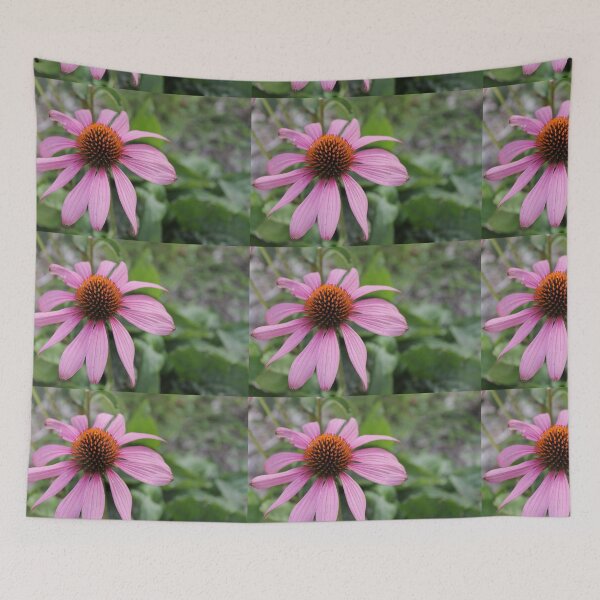 Item preview, Echinacea 2 designed and sold by katelynroseart1.