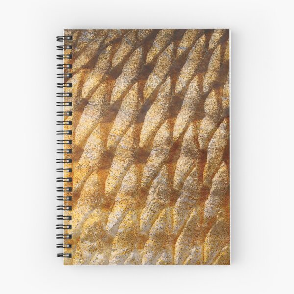 Item preview, Redfish scales designed and sold by jonesing.