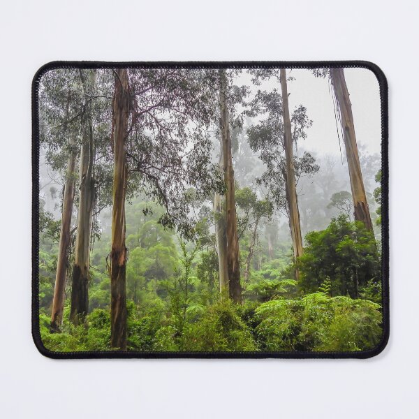 Item preview, Rainforest of the Dandenong Ranges designed and sold by Kathie Thomas.