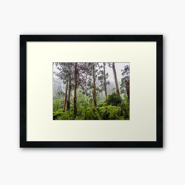 Item preview, Rainforest of the Dandenong Ranges designed and sold by Kathie Thomas.