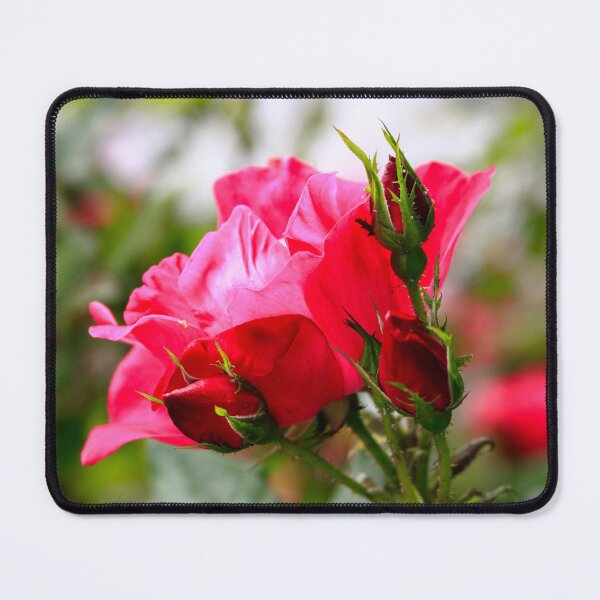 Item preview, Rosebud Bloom designed and sold by Tanya Owens.