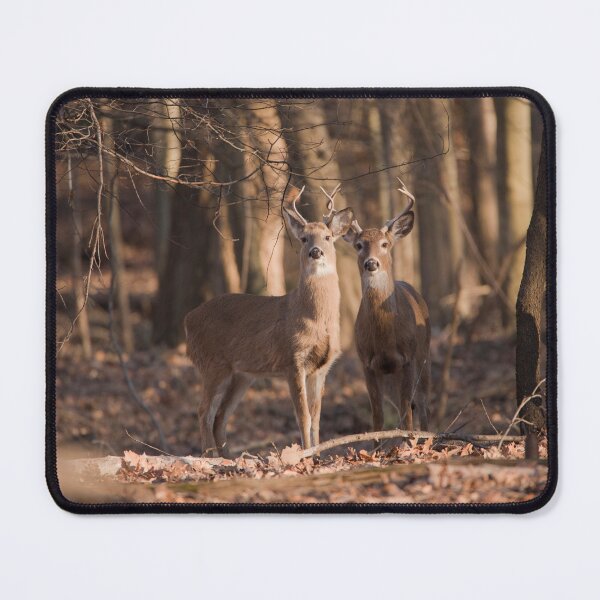 Item preview, Series: Deer 3 designed and sold by SMFOTO.