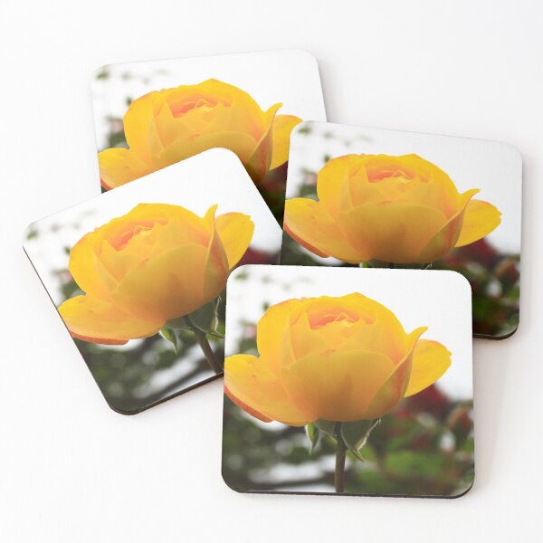 Item preview, Yellow Persian Buttercup - Portrait designed and sold by Tanya Owens.