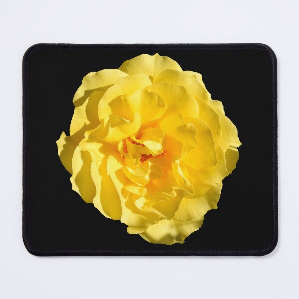 Item preview, The Yellow Rose designed and sold by AussieAl.