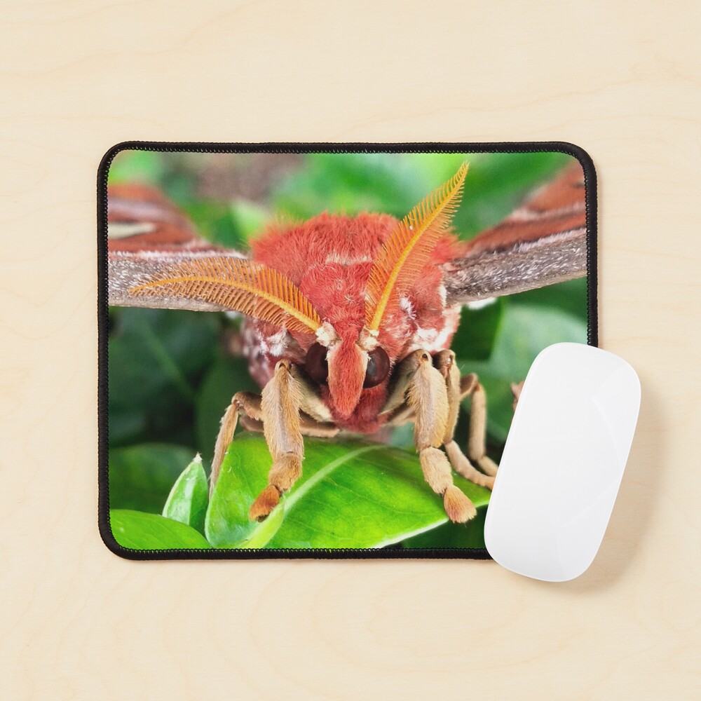 Item preview, Mouse Pad designed and sold by RanranBugs.