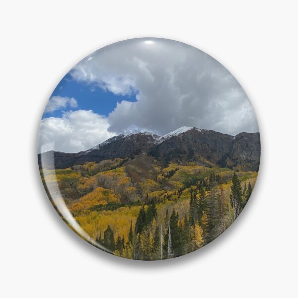 Item preview, Kebler Pass Colorado Aspens designed and sold by pineywoodsshop.