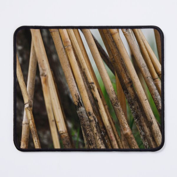 Item preview, Reeds designed and sold by Tanya Owens.