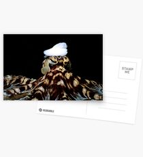 The Mimic Artist Postcards
