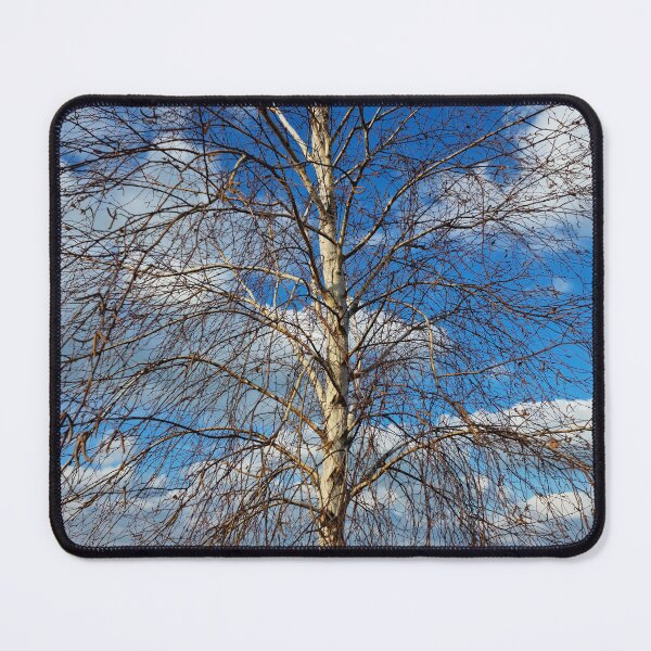 Item preview, Birch over Lake designed and sold by Gaboro.