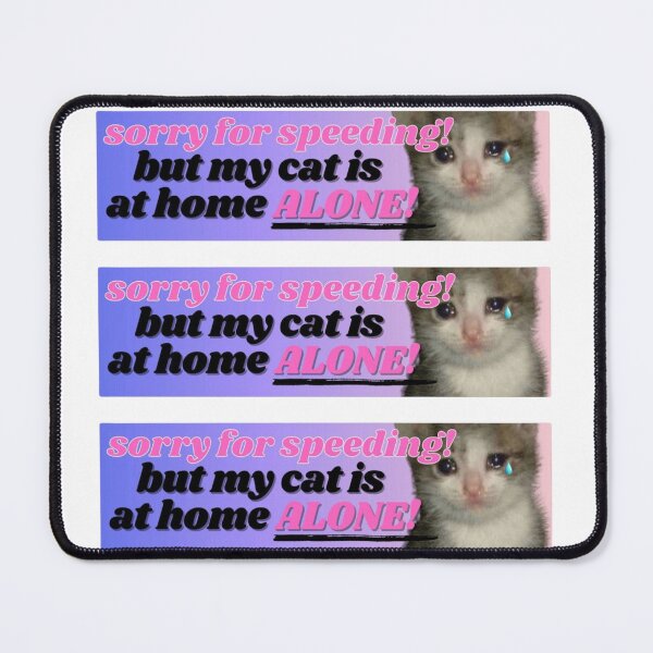 Item preview, sorry for speeding but my cat is at home alone designed and sold by Big  Donuts ⭐⭐⭐⭐⭐.