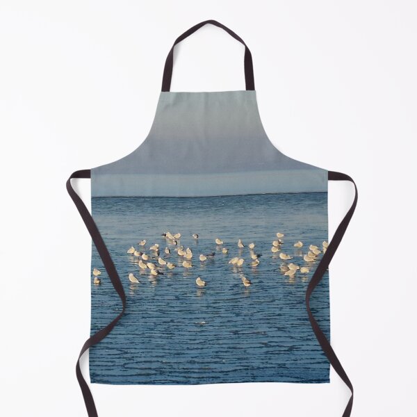 Item preview, Icy-birdy lake designed and sold by Gaboro.