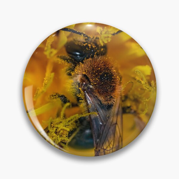 Item preview, Winged Pollinator: Bee in Golden Bloom; Macro Photography designed and sold by Suuriel.