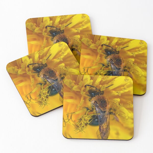 Item preview, Winged Pollinator: Bee in Golden Bloom; Macro Photography designed and sold by Suuriel.