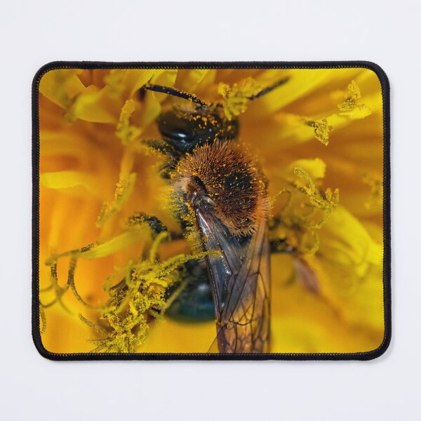 Item preview, Winged Pollinator: Bee in Golden Bloom; Macro Photography designed and sold by Suuriel.