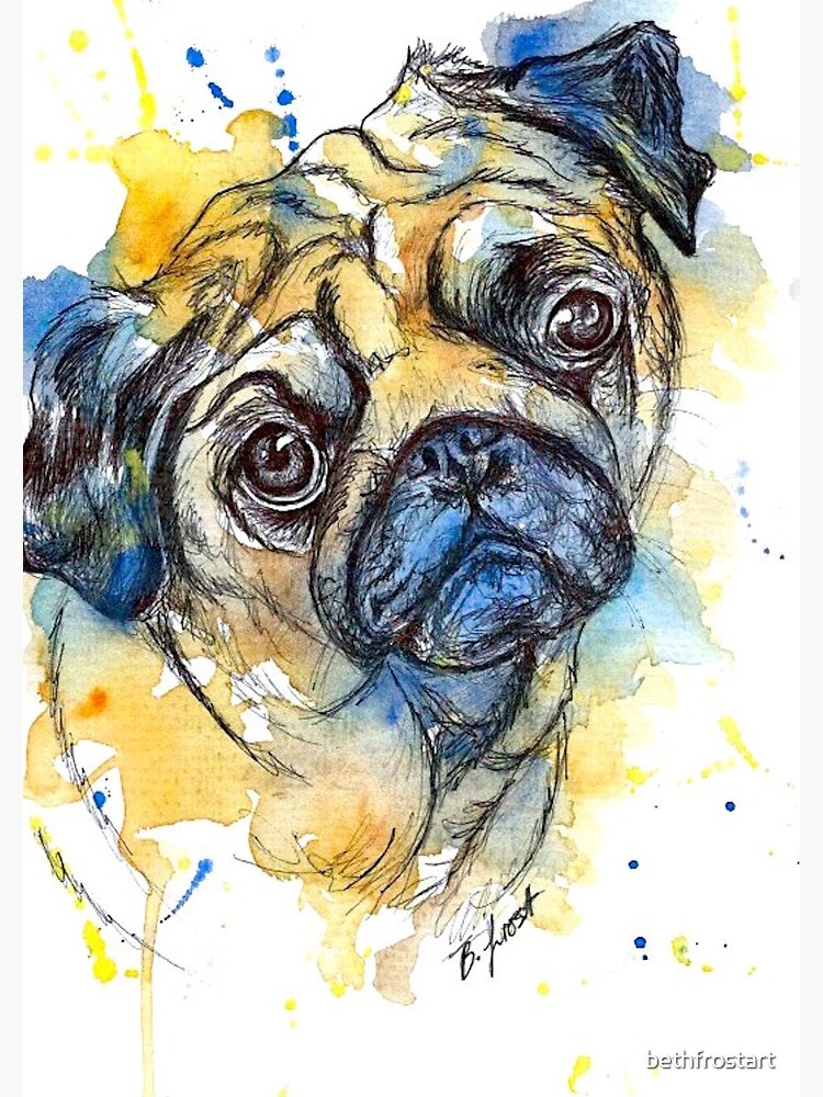 Colourful Pug by bethfrostart