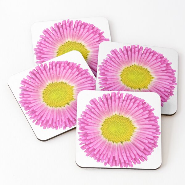 Item preview, Bellis perennis  designed and sold by Victor Mozqueda.
