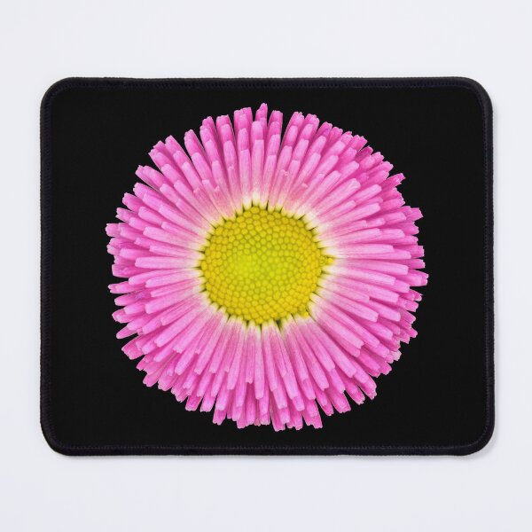 Item preview, Bellis perennis  designed and sold by Victor Mozqueda.