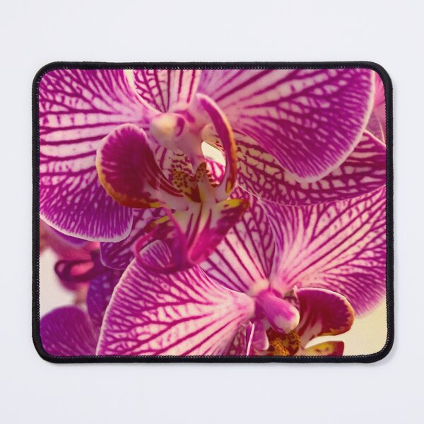 Item preview, Bright Orchids designed and sold by SpeareCreations.