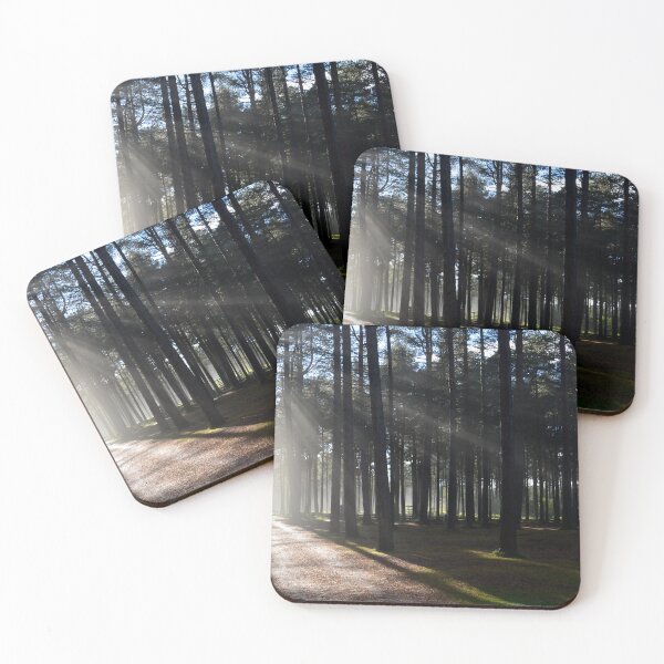 Item preview, Forest Walks designed and sold by Gordon Hunt.