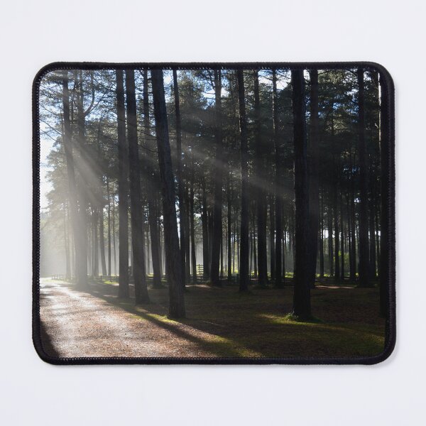 Item preview, Forest Walks designed and sold by Gordon Hunt.