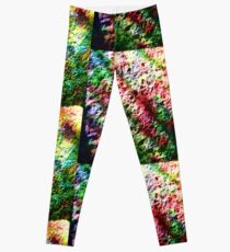 Rainbow Crunch Leggings