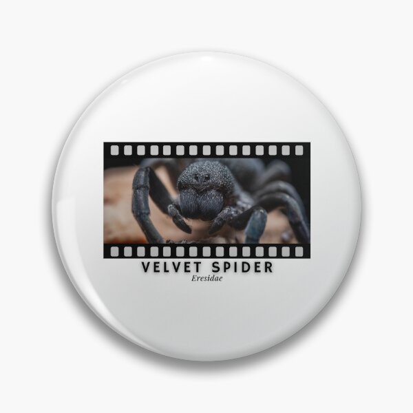 Item preview, Velvet Spider Eresidae designed and sold by AstroLynx.