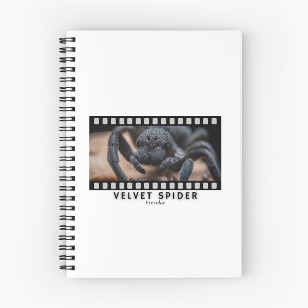 Item preview, Velvet Spider Eresidae designed and sold by AstroLynx.