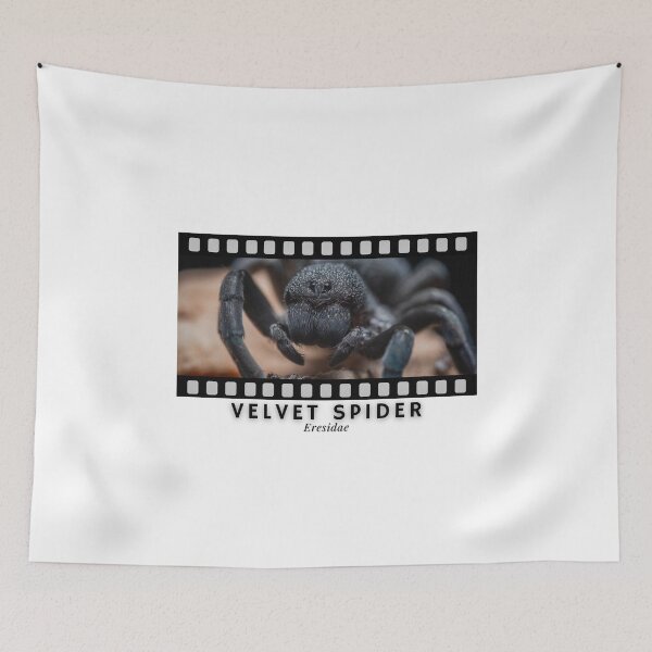 Item preview, Velvet Spider Eresidae designed and sold by AstroLynx.
