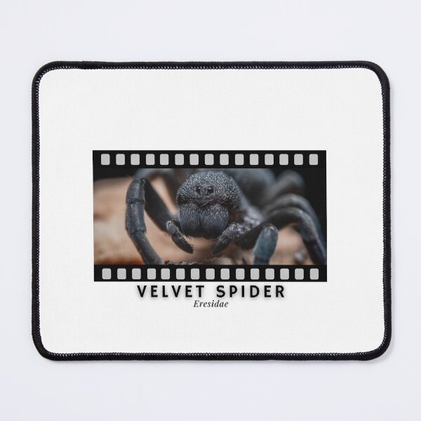 Item preview, Velvet Spider Eresidae designed and sold by AstroLynx.