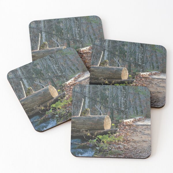 Item preview, Path Along A Stream In A Croatian Forest designed and sold by RelaxingEscapes.